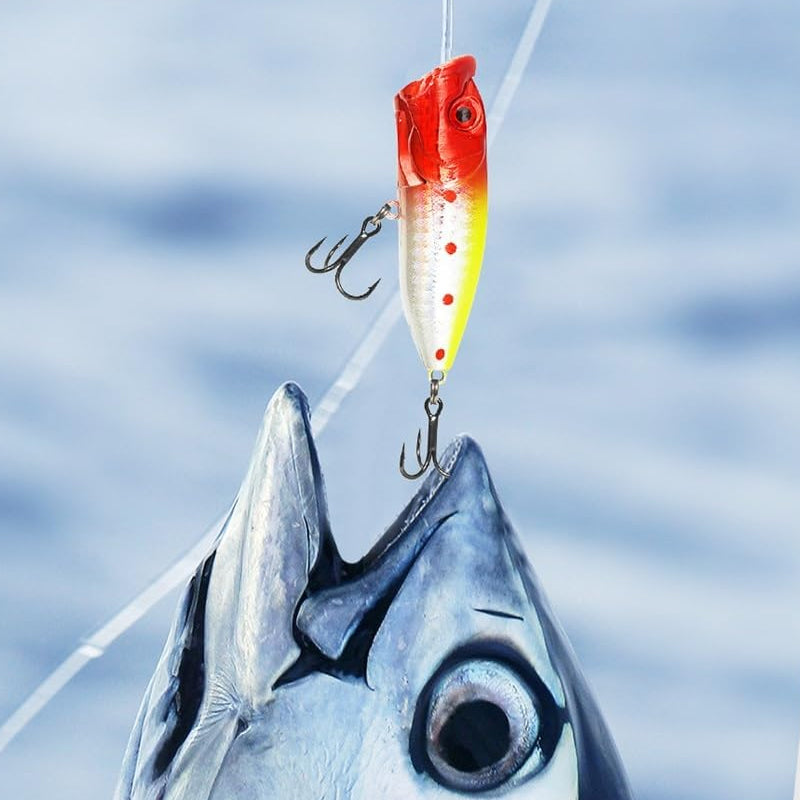Fishing Tackle Advent Calendar – 24-Day Angler's Countdown with Lures, Hooks & Gear | Thomler