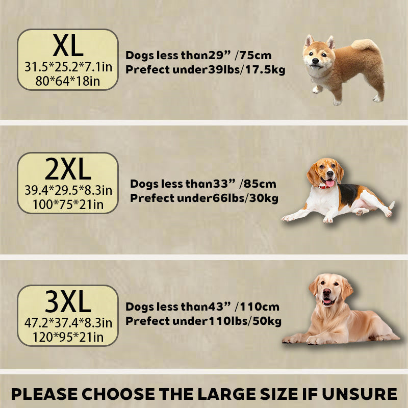 Dog Bed Crystal Velvet 80.0 cm x 64.0 cm Orthopedic Brown Indoor Sleeping Cushion Raised Rim Washable Pet Bed | Thomler