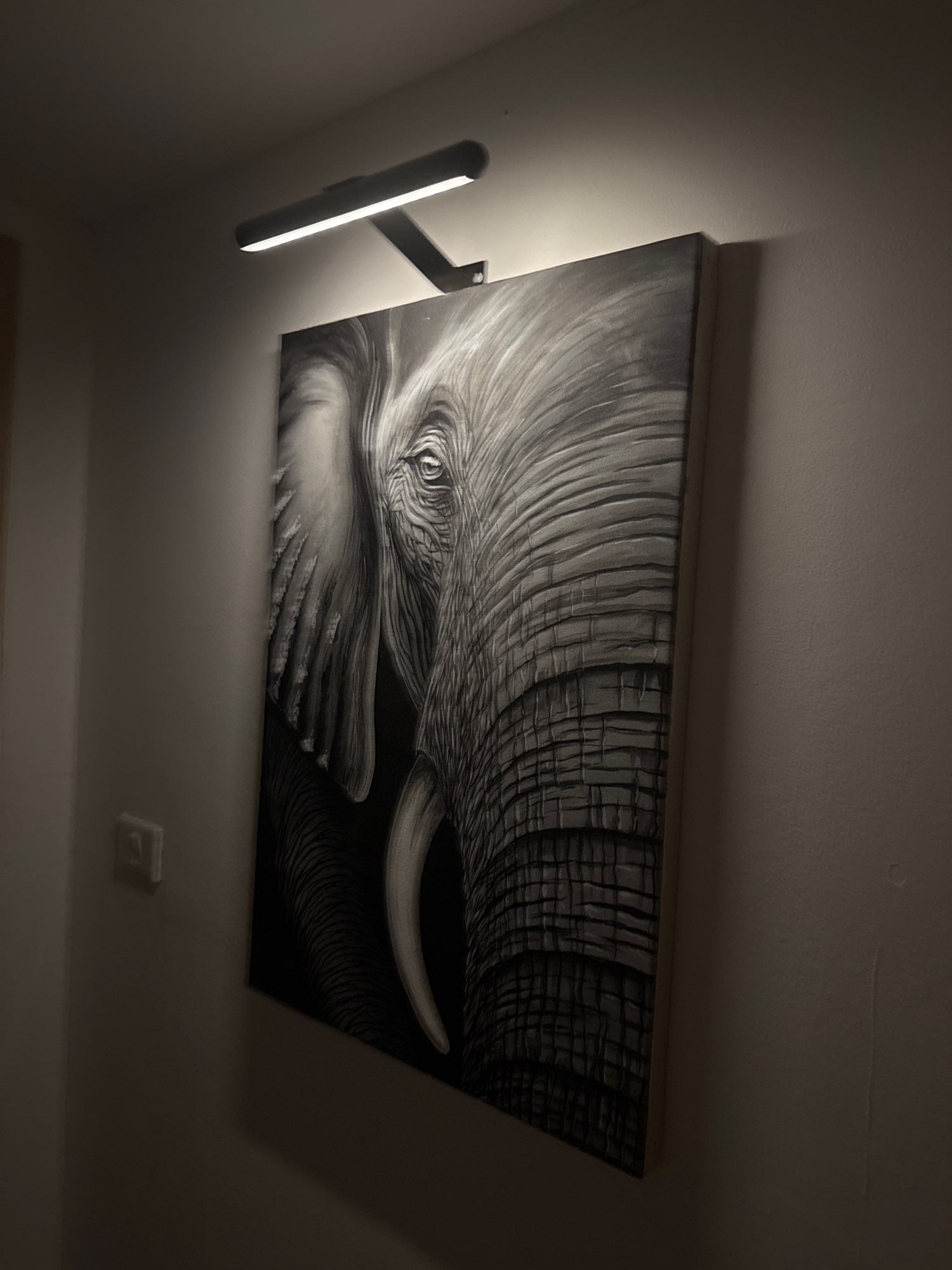 Picture Light Metal LED 360° Rotating USB Rechargeable Indoor Artwork Wall Lamp Wireless Dimmable Frame Lighting | Thomler