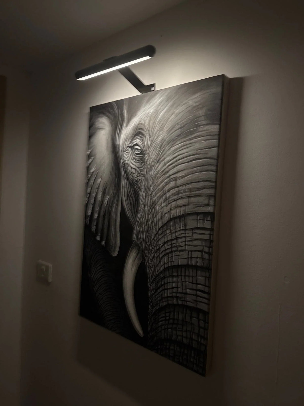 Wireless LED Picture Light with Dimmer & Remote – Swivel Head Art Illuminator for Wall Display | Thomler