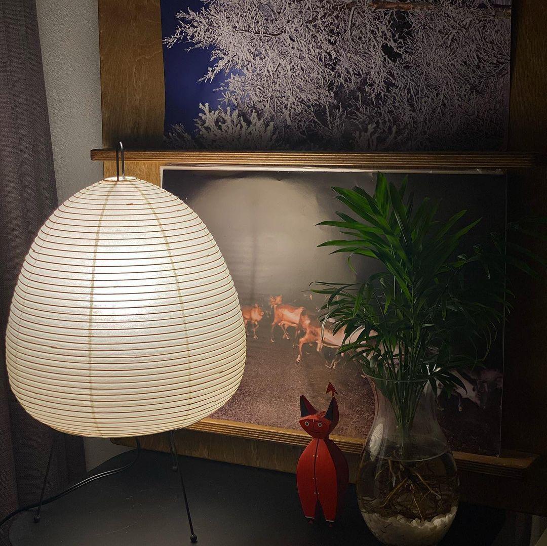 Table Lamp Rice Paper 16.9 in Indoor LED Bedroom Desk Nightstand Light | Thomler
