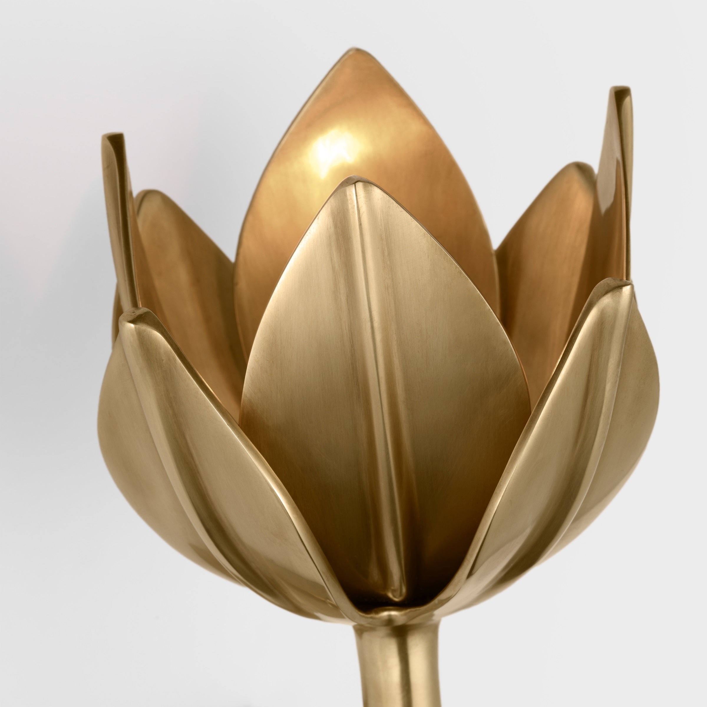 Wall Lamp Metal Flower 11 in Indoor Bedroom Dining Decorative Sconce Floral Sculptural Accent Lighting Fixture | Thomler