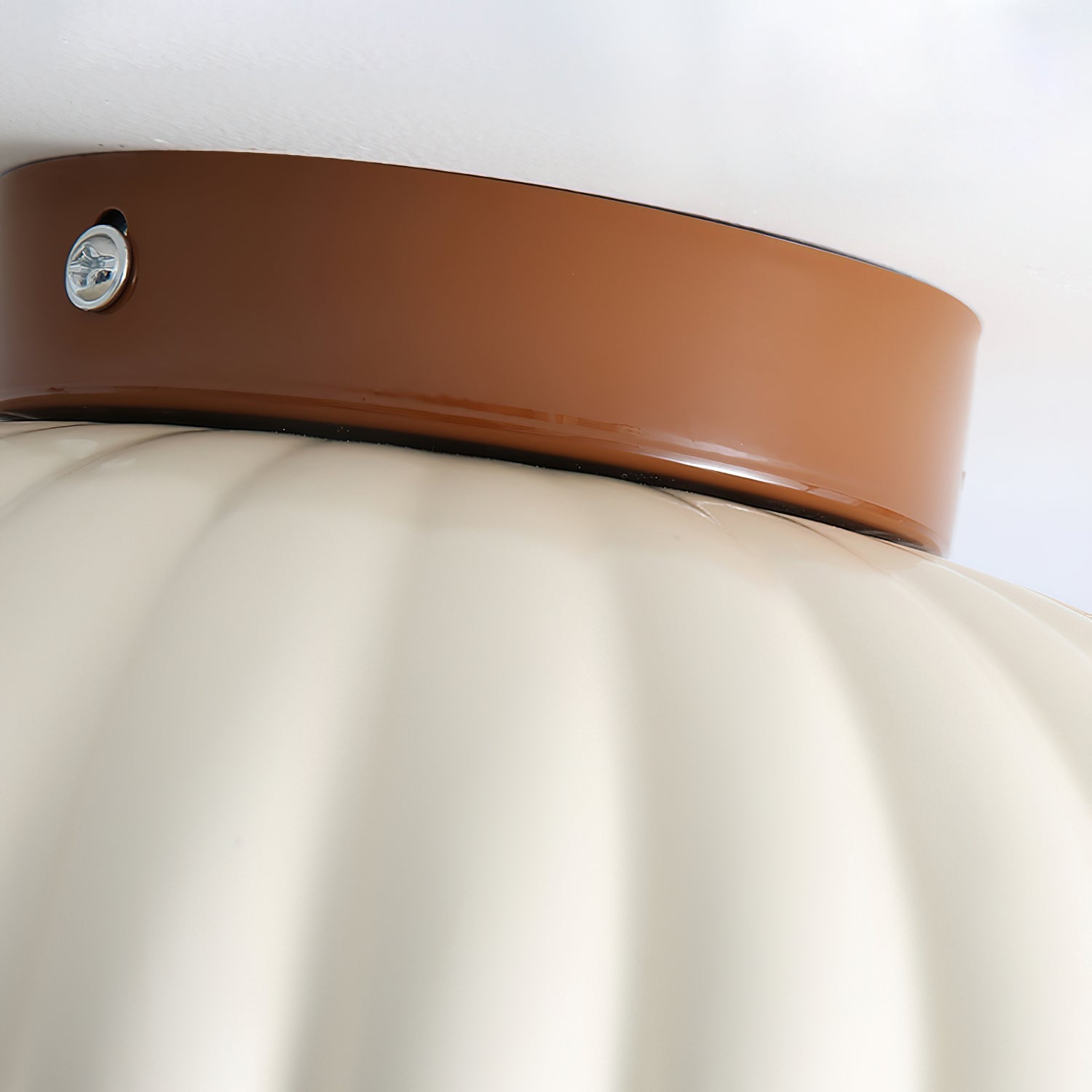 Ceiling Light Metal 9.8 in Adjustable Green Beige Red White Brown Indoor Decorative Fixture | Thomler