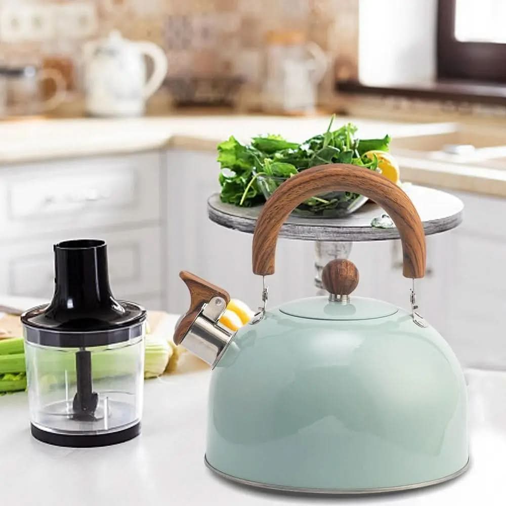 Whistling Kettle Stainless Steel 3 L 6.3 in Ergonomic Handle Boiling Water For Kitchen Gas Induction Electric Cooktop | Thomler