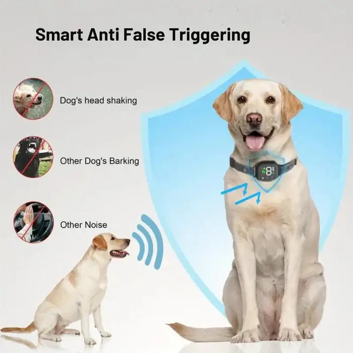 Touch-Screen Dog Training Collar with Adjustable Strap & Multiple Correction Modes for Small to Large Dogs | Thomler