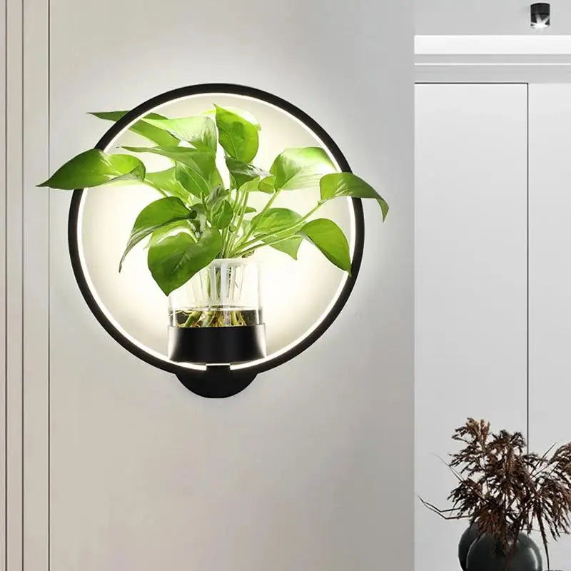 Indoor Wall Sconce with Live Plant Holder – Iron & Glass Botanical Light Fixture for Living Room, Bedroom, Hallway, Office – Modern | Thomler