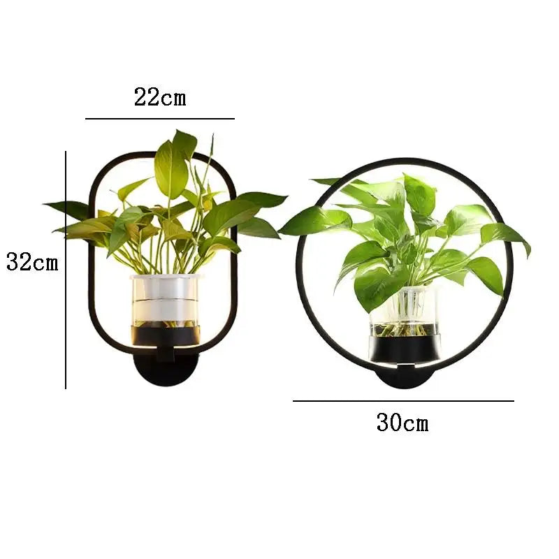 Indoor Wall Sconce with Live Plant Holder – Iron & Glass Botanical Light Fixture for Living Room, Bedroom, Hallway, Office – Modern | Thomler