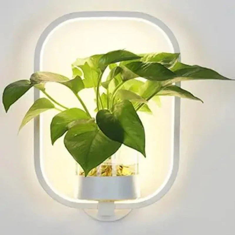 Indoor Wall Sconce with Live Plant Holder – Iron & Glass Botanical Light Fixture for Living Room, Bedroom, Hallway, Office – Modern | Thomler