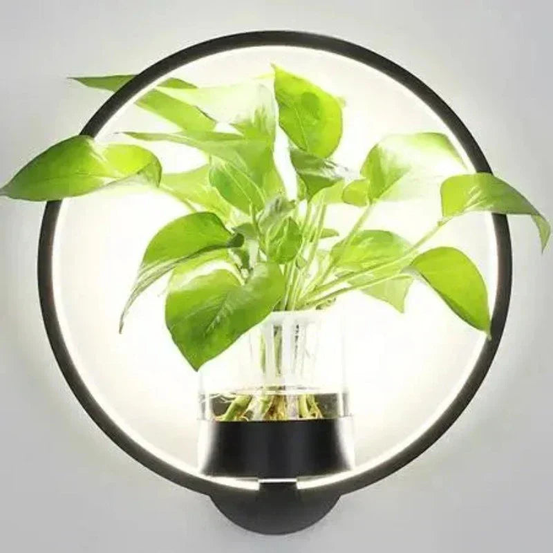 Indoor Wall Sconce with Live Plant Holder – Iron & Glass Botanical Light Fixture for Living Room, Bedroom, Hallway, Office – Modern | Thomler