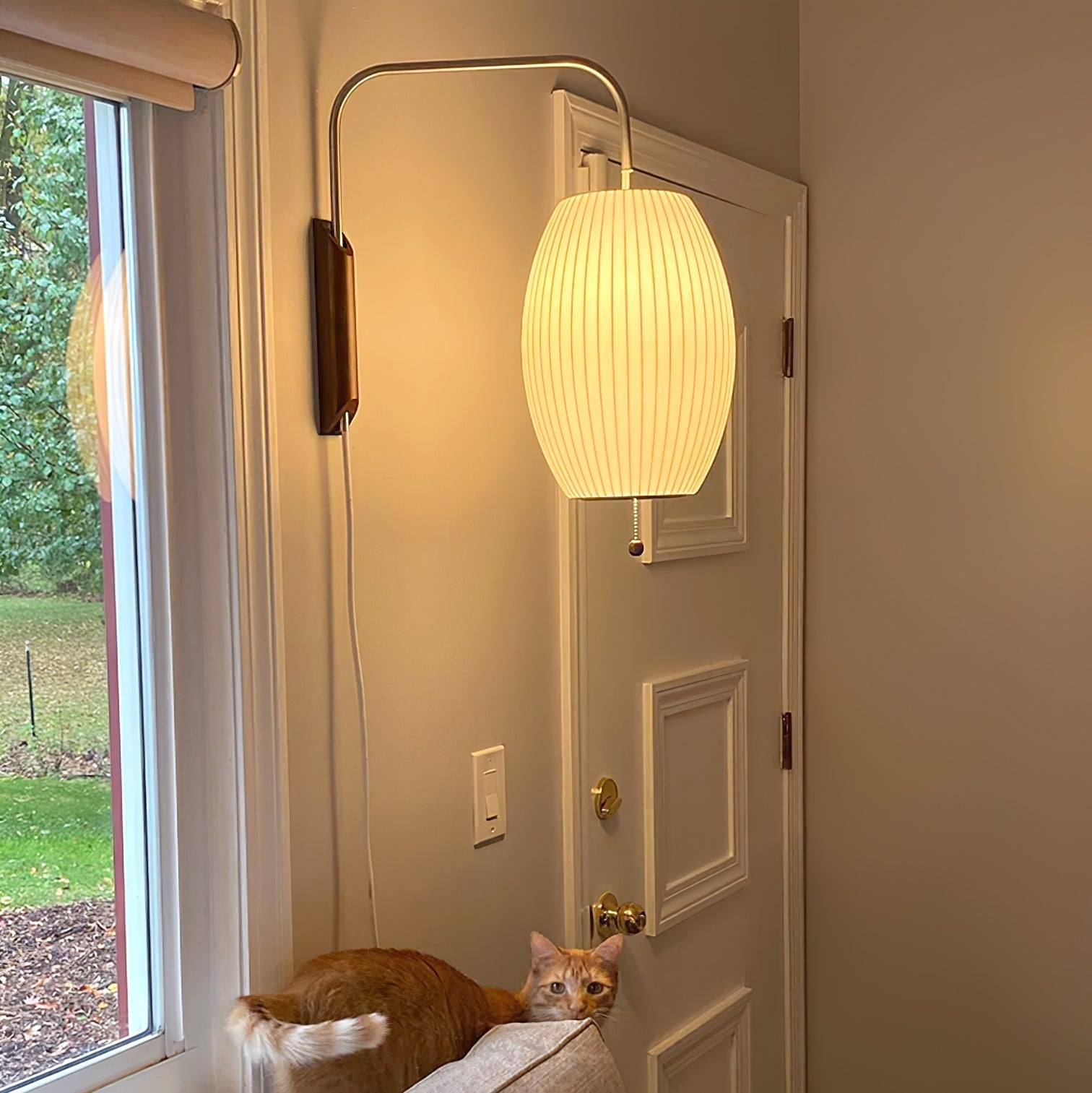 Ball Wall Sconce Swivel LED 15.7 in Chrome Walnut Indoor Lighting Adjustable Plug Cord | Thomler