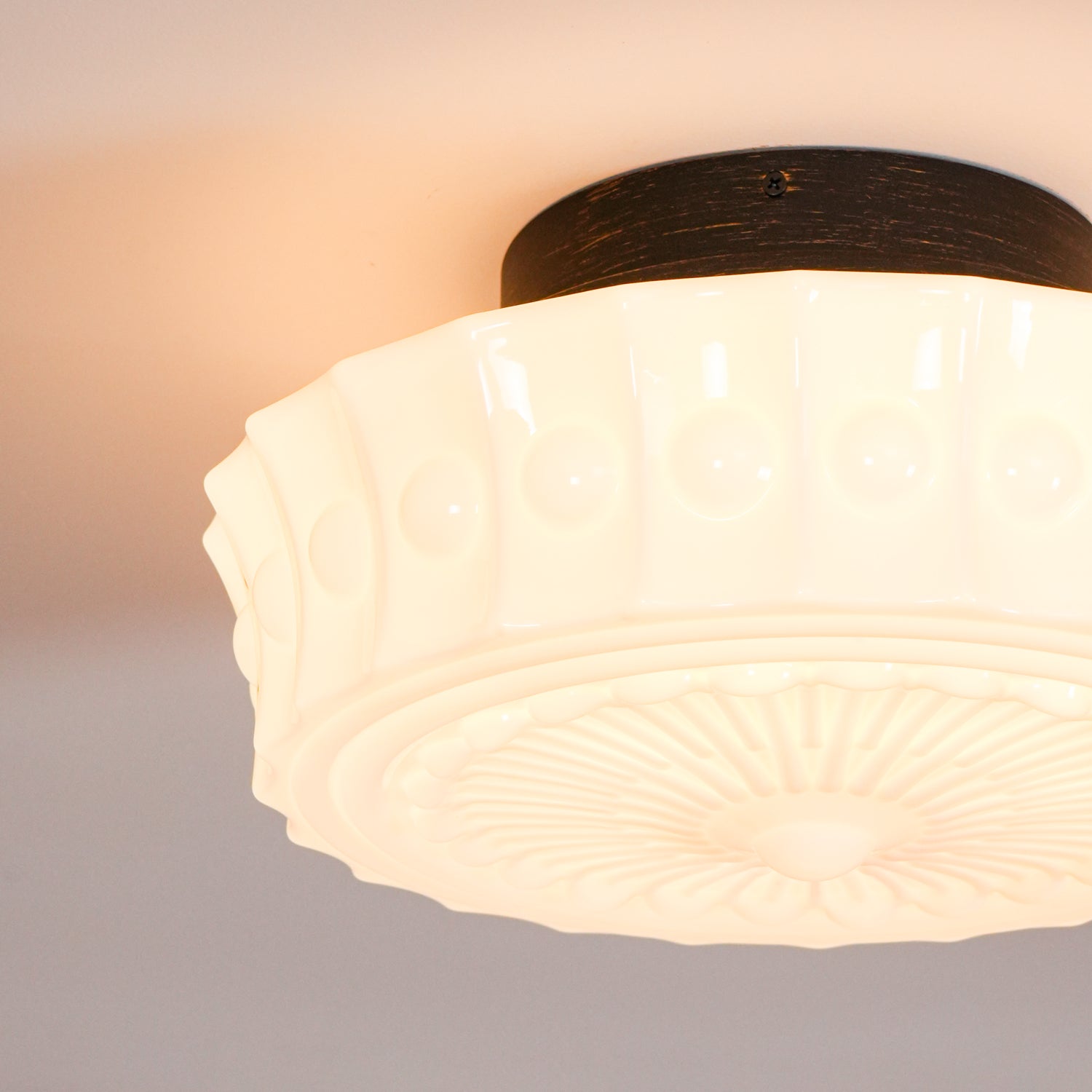 Metal Glass Ceiling Light 14.2 in Black Flush Mount Indoor Living Room Dining Fixture E26 E27 Multi Bulb | Thomler
