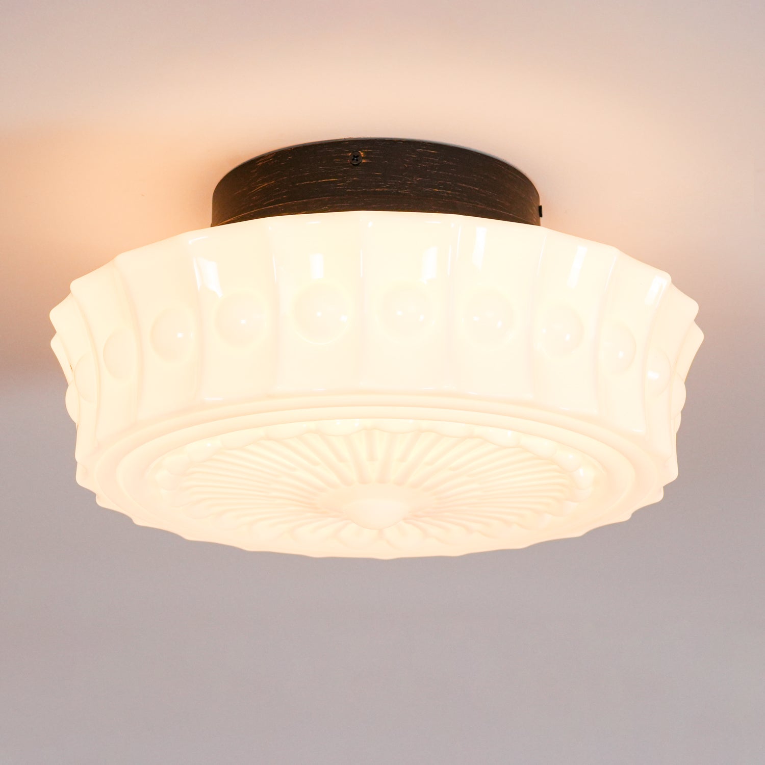 Metal Glass Ceiling Light 14.2 in Black Flush Mount Indoor Living Room Dining Fixture E26 E27 Multi Bulb | Thomler