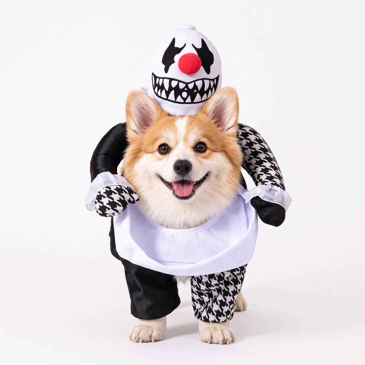 Pet Costume with Padded Fake Arms – 3D Walking Illusion for Dogs & Cats – Halloween Party Outfit | Thomler