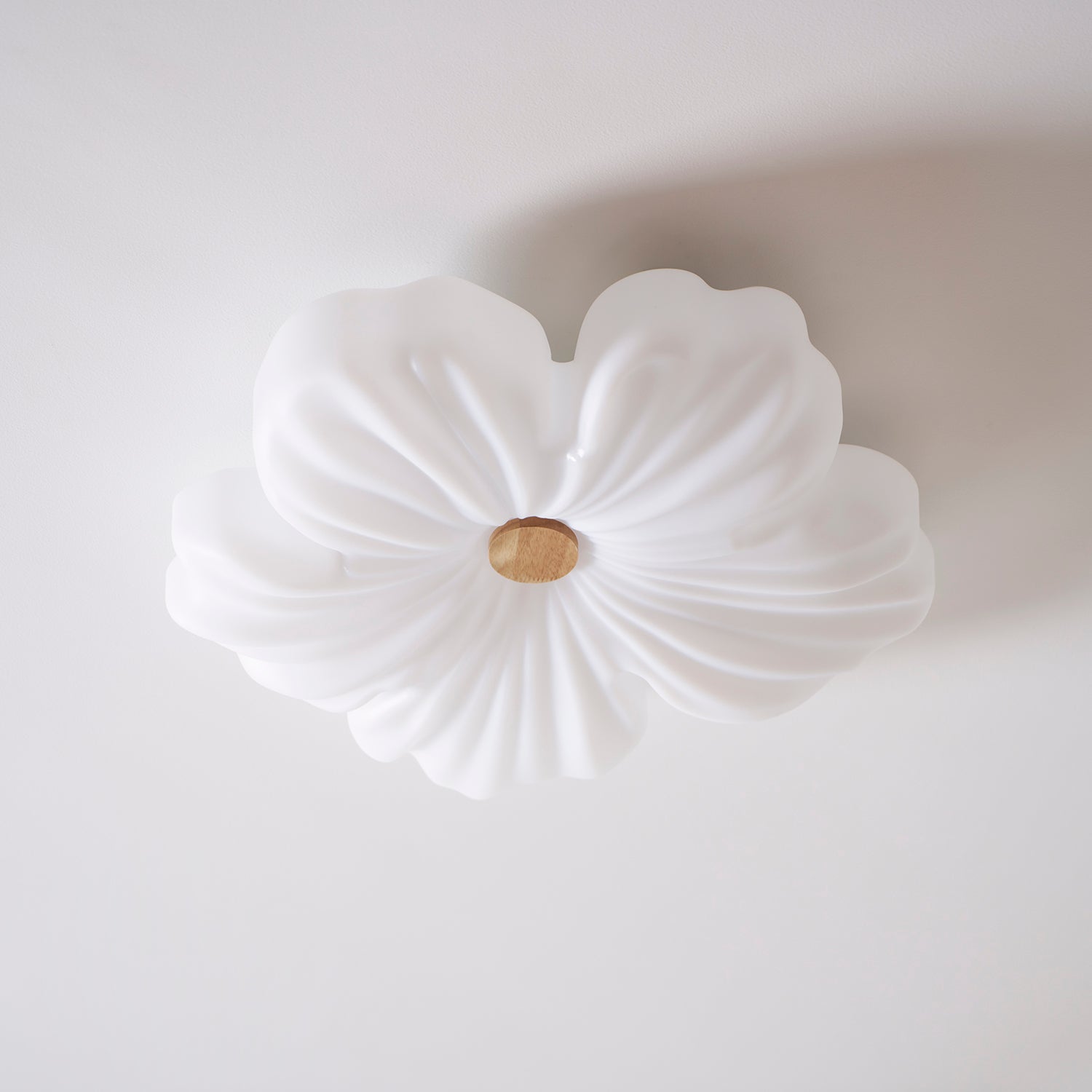 Ceiling Lamp Metal Acrylic 13 in White Indoor Modern Home Lighting Fixture LED | Thomler
