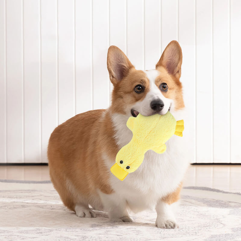 Squeaky Plush Duck Dog Toy – Soft Chew Toy for Small & Large Dogs, Interactive Pet Plaything with Sound for Puppies & Adult Canines | Thomler