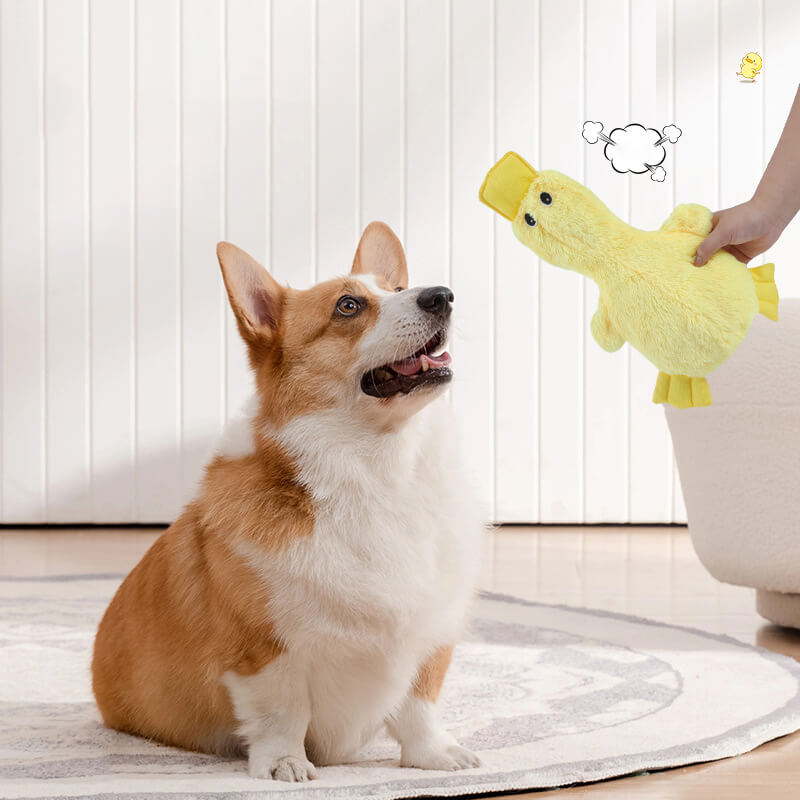 Squeaky Plush Duck Dog Toy – Soft Chew Toy for Small & Large Dogs, Interactive Pet Plaything with Sound for Puppies & Adult Canines | Thomler