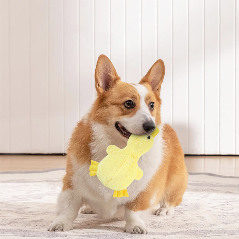 Squeaky Plush Duck Dog Toy – Soft Chew Toy for Small & Large Dogs, Interactive Pet Plaything with Sound for Puppies & Adult Canines | Thomler