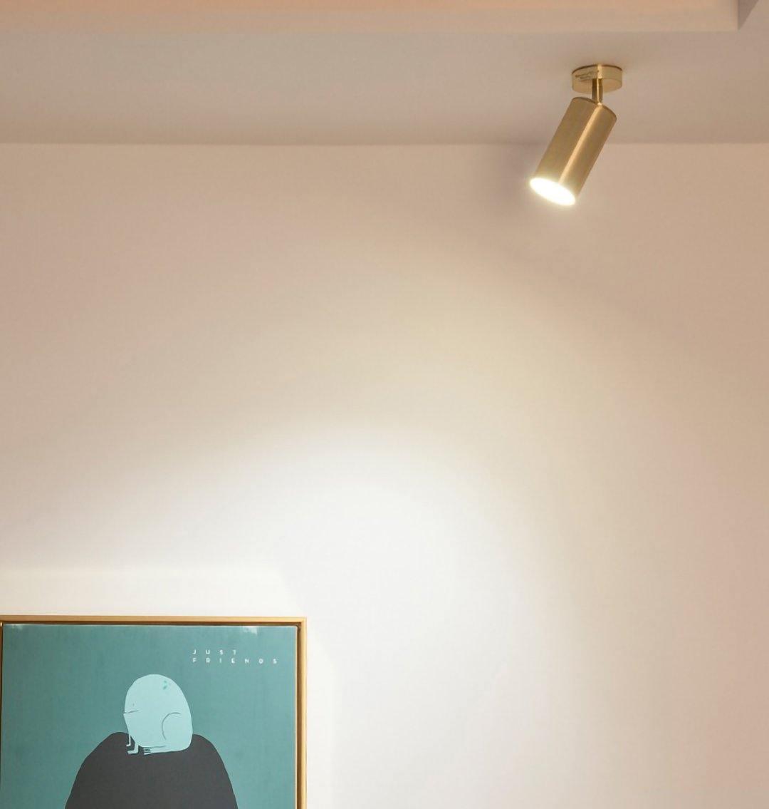 Brass Rotatable Spotlight Wall Light 3.1 in 350° Adjustable Indoor Accent Lighting Multi Head Ceiling Mount | Thomler