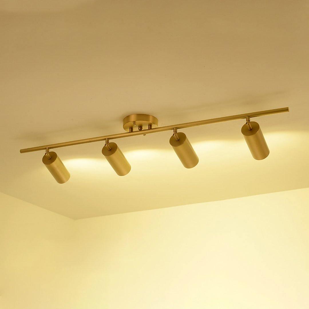 Brass Rotatable Spotlight Wall Light 3.1 in 350° Adjustable Indoor Accent Lighting Multi Head Ceiling Mount | Thomler