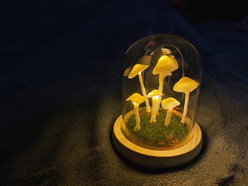 Glass & Wood DIY Mushroom Lamp – Tabletop Accent Light for Living Room & Bedroom | Thomler