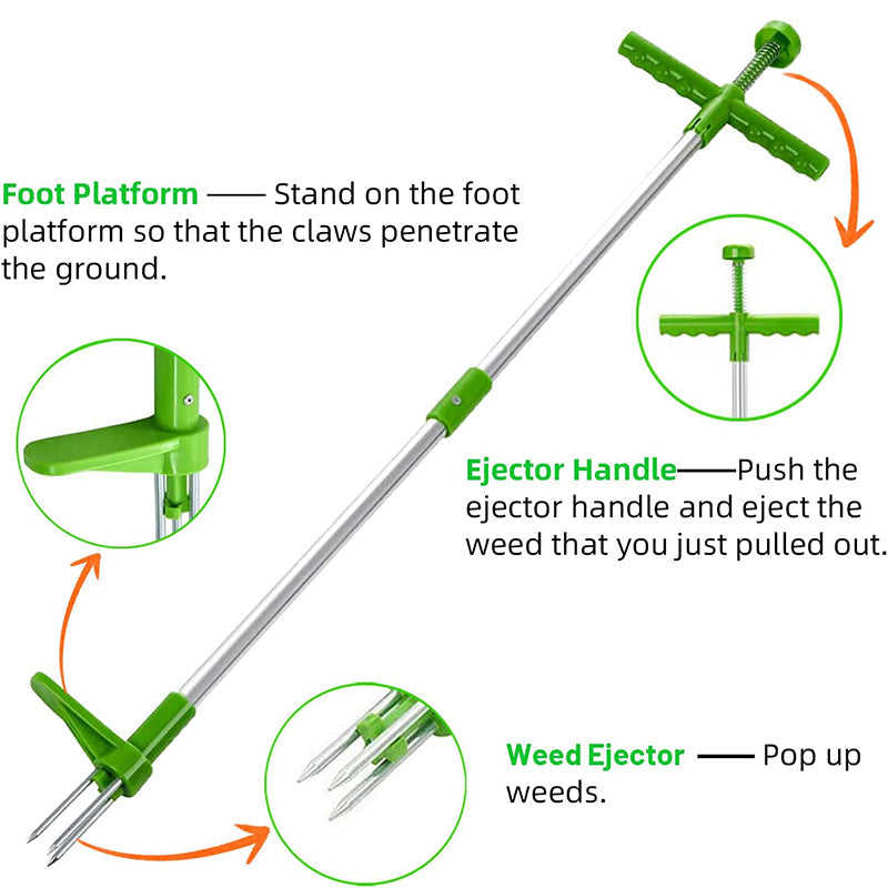 Upright Weed Remover Tool with 5-Prong Claw System for Deep Root Extraction – No-Bend Foot Pedal Weeder for Lawns, Gardens & Landscaping | Thomler