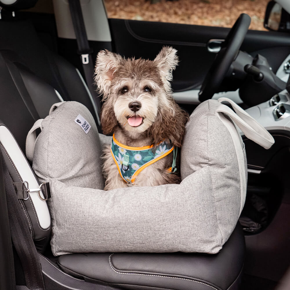 Portable Pet Carrier Booster Seat with Safety Harness and Washable Cover for Small Dogs | Thomler