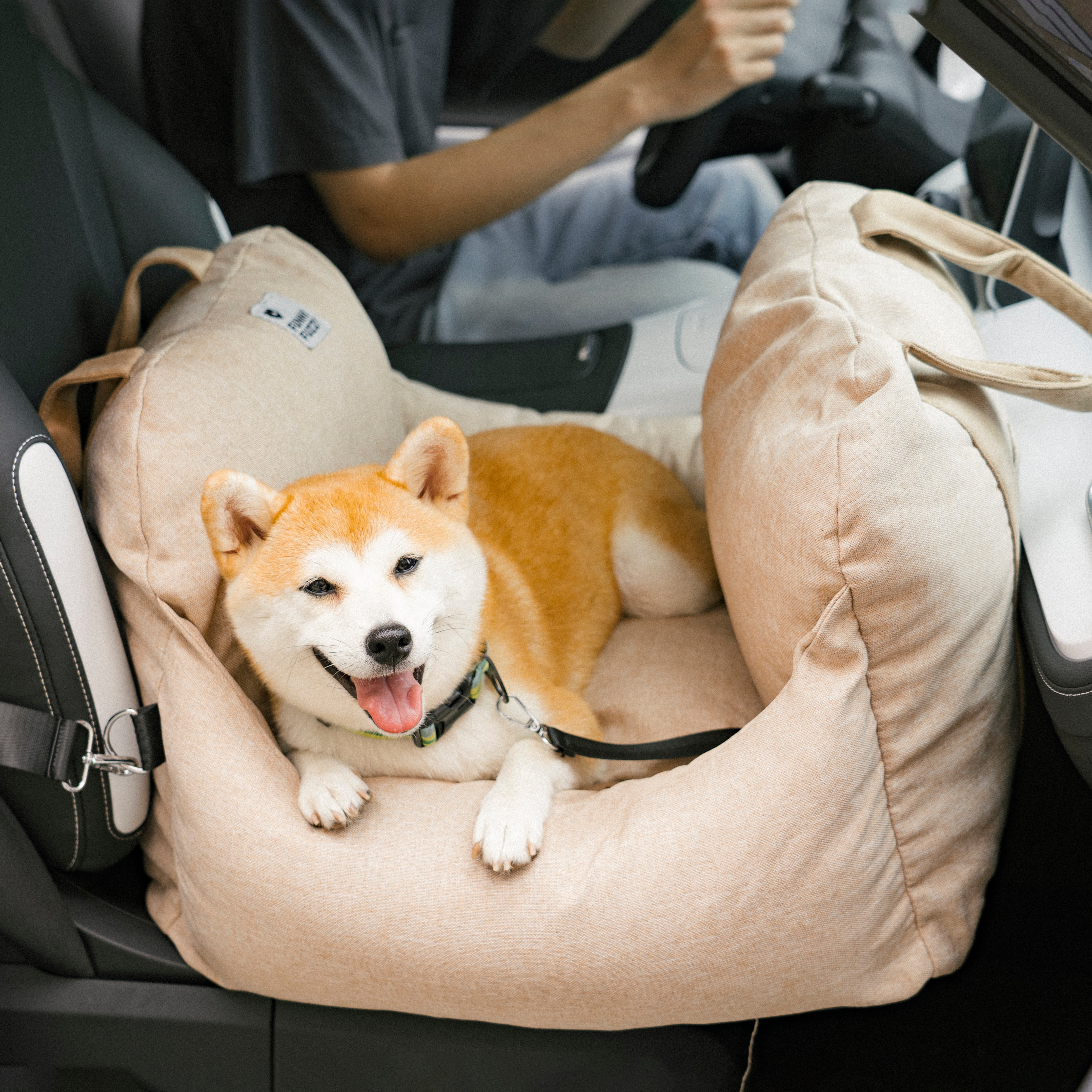 Portable Pet Carrier Booster Seat with Safety Harness and Washable Cover for Small Dogs | Thomler