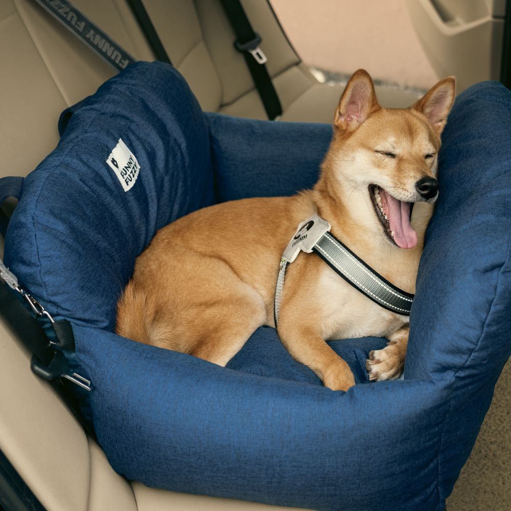 Portable Pet Carrier Booster Seat with Safety Harness and Washable Cover for Small Dogs | Thomler