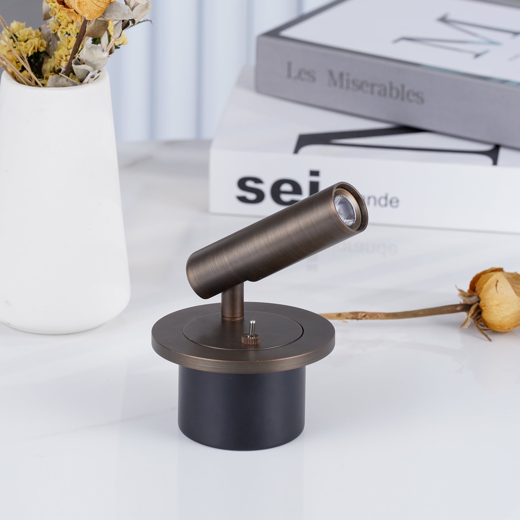 Rotating LED Reading Light for Bedroom Wall – Adjustable Bedside Sconce with Integrated LED – Modern Metal Task Light for Headboard | Thomler