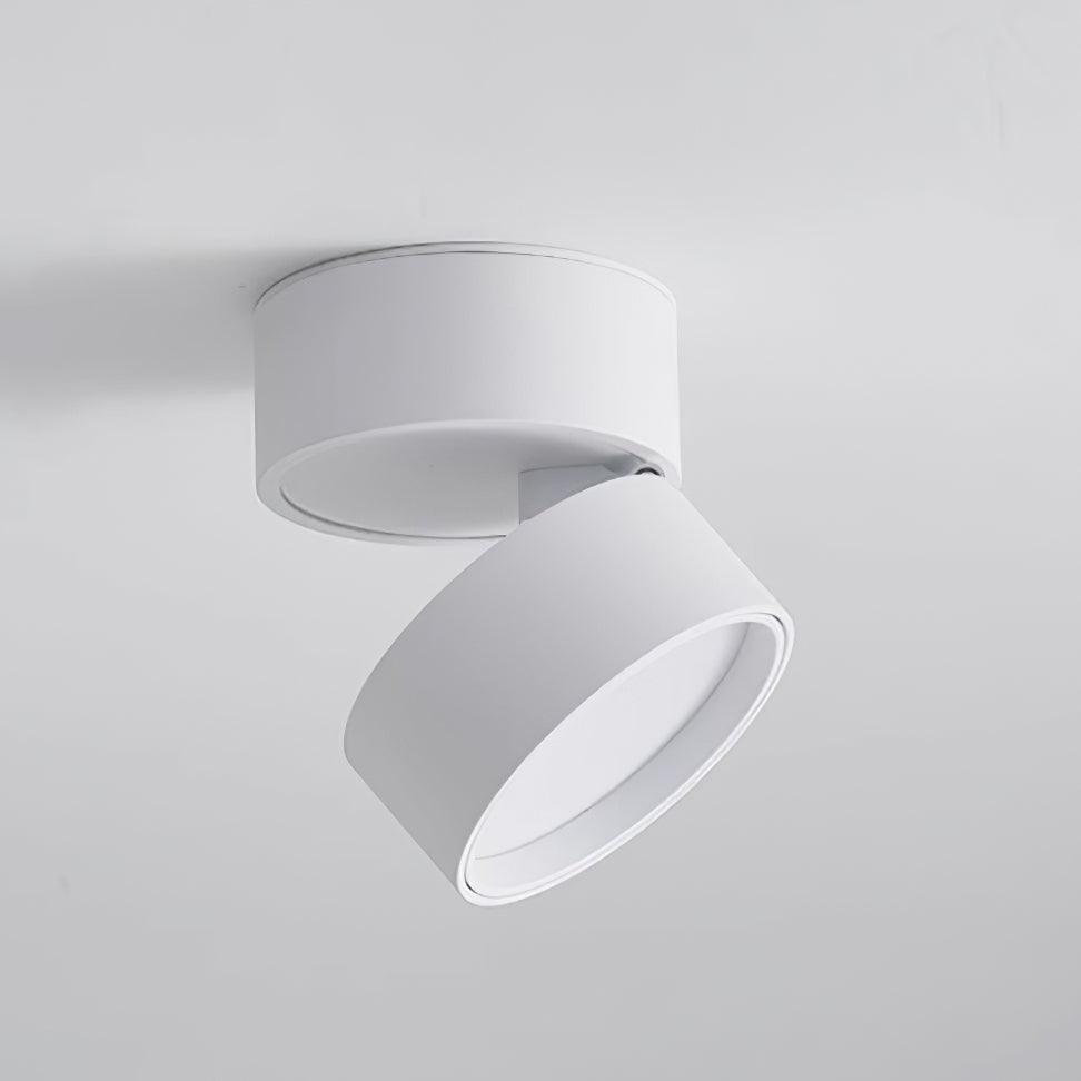 Adjustable Aluminum Spotlight with Tilting Head for Wall & Ceiling – Directional Track Light | Thomler