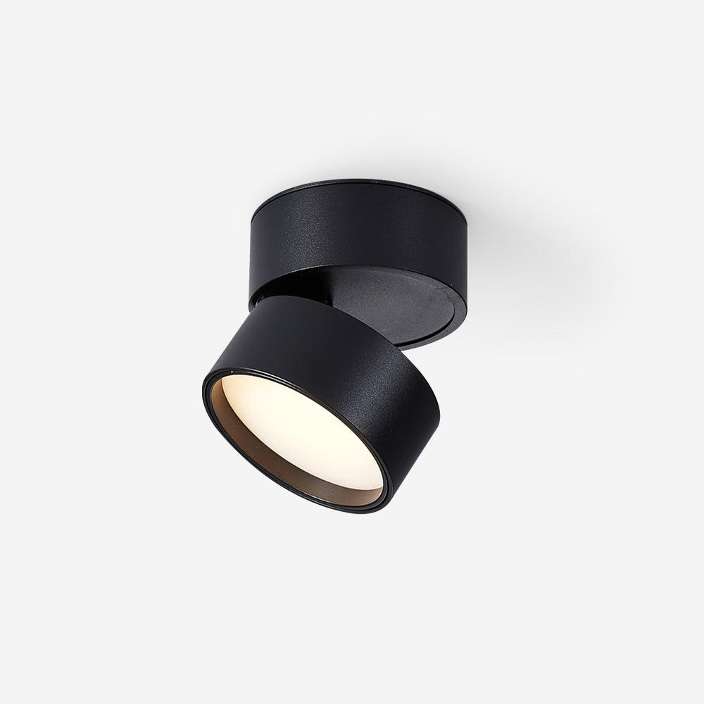 Adjustable Aluminum Spotlight with Tilting Head for Wall & Ceiling – Directional Track Light | Thomler