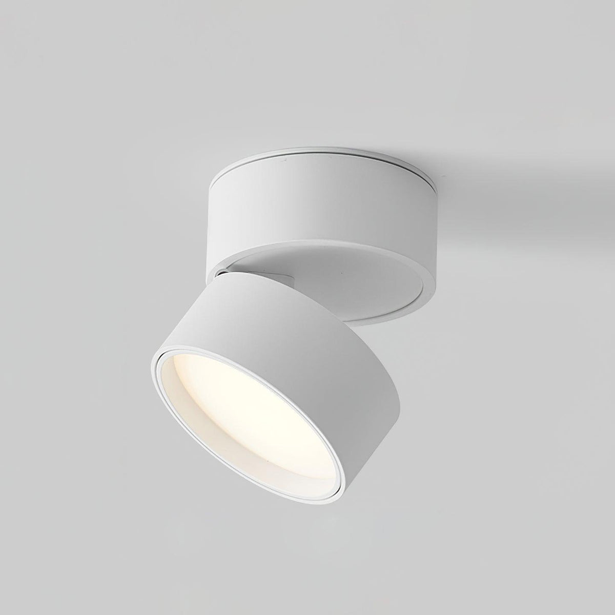 Adjustable Aluminum Spotlight with Tilting Head for Wall & Ceiling – Directional Track Light | Thomler