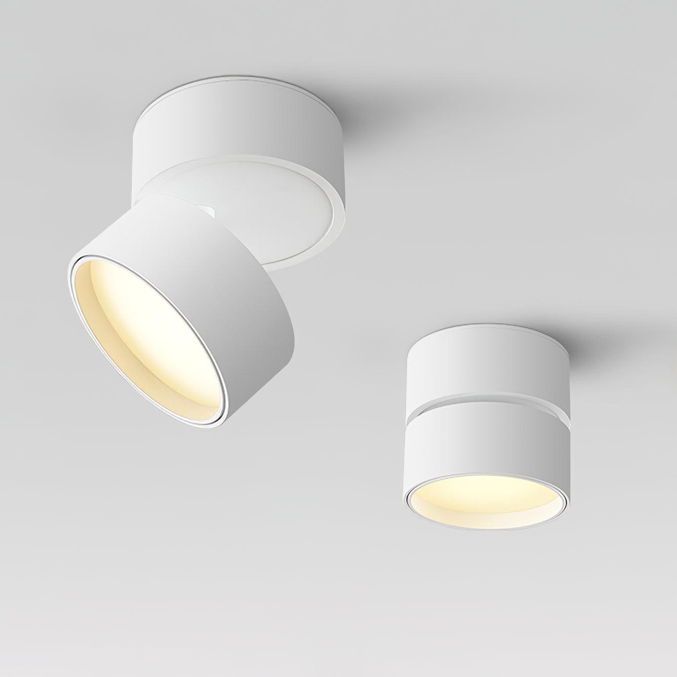 Adjustable LED Ceiling Spotlight in Minimalist Scandinavian Style – Directional Accent Light for Living Room, Gallery, Hallway & Modern | Thomler