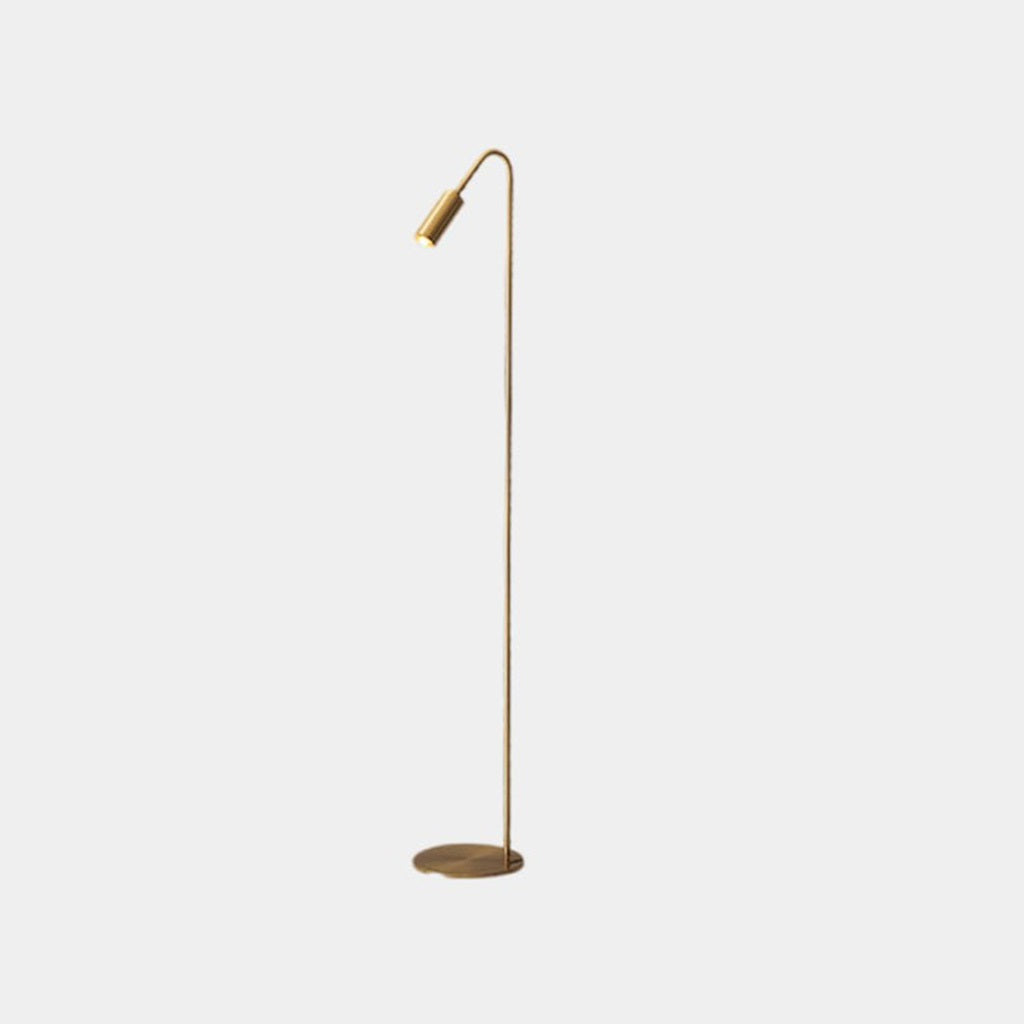 Floor Lamp Brass 51 in Adjustable LED Modern Living Room Gallery Lighting | Thomler