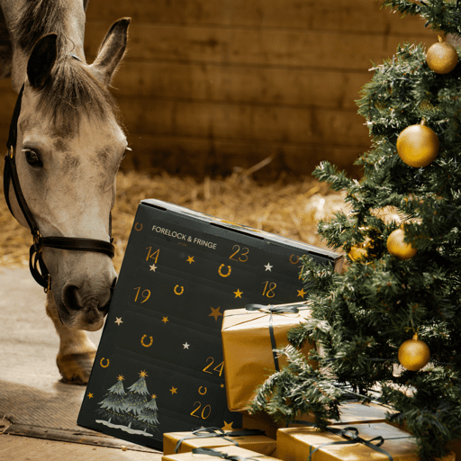 Horse Lover's Countdown Calendar – 24 Days of Equestrian Surprises for Riders & Horses | Thomler
