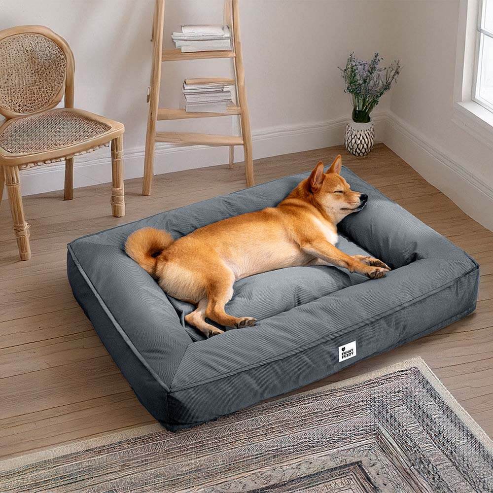 Raised-Edge Bolster Dog Bed with Joint-Relief Foam & Liquid-Proof Cover for Large Breeds | Thomler