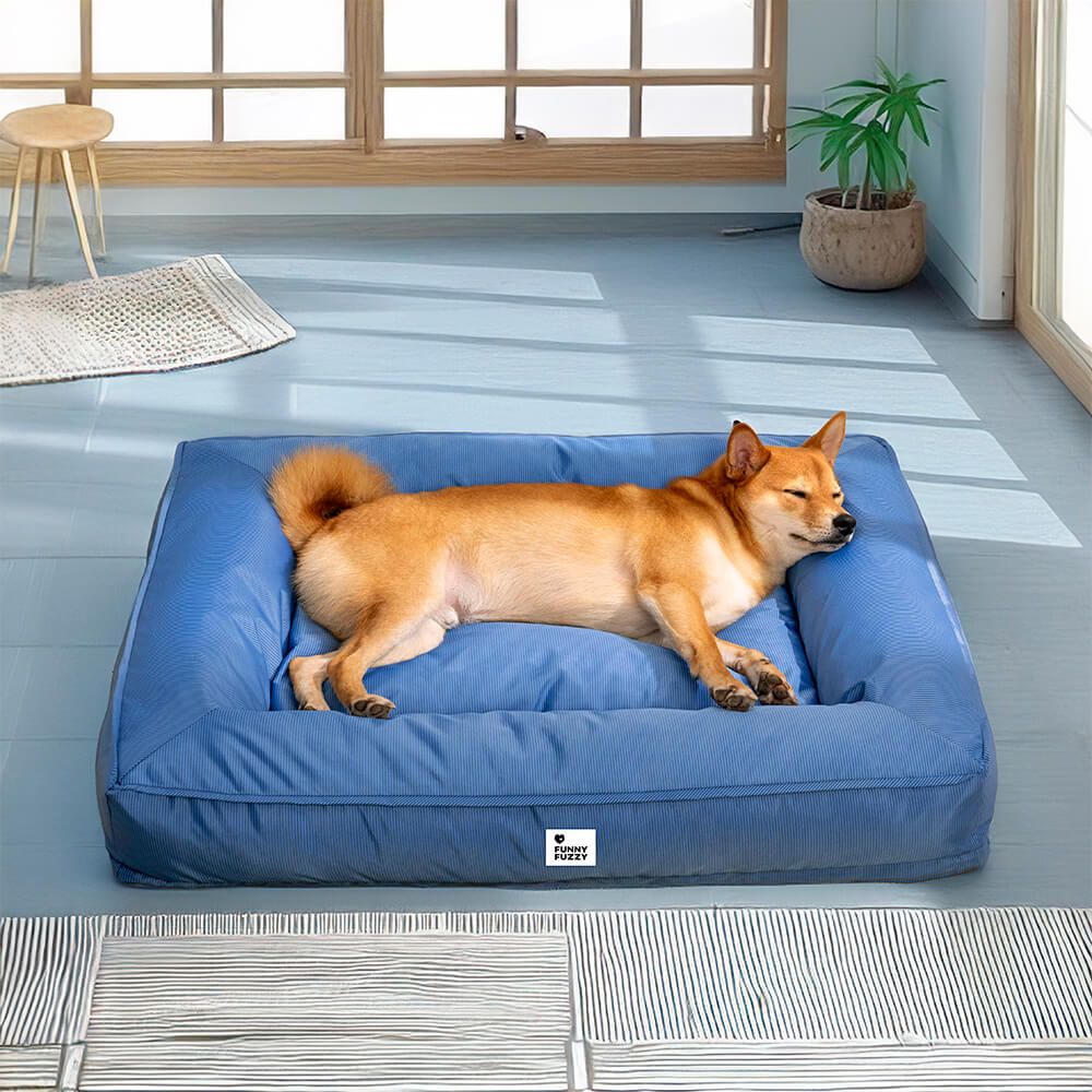 Raised-Edge Bolster Dog Bed with Joint-Relief Foam & Liquid-Proof Cover for Large Breeds | Thomler