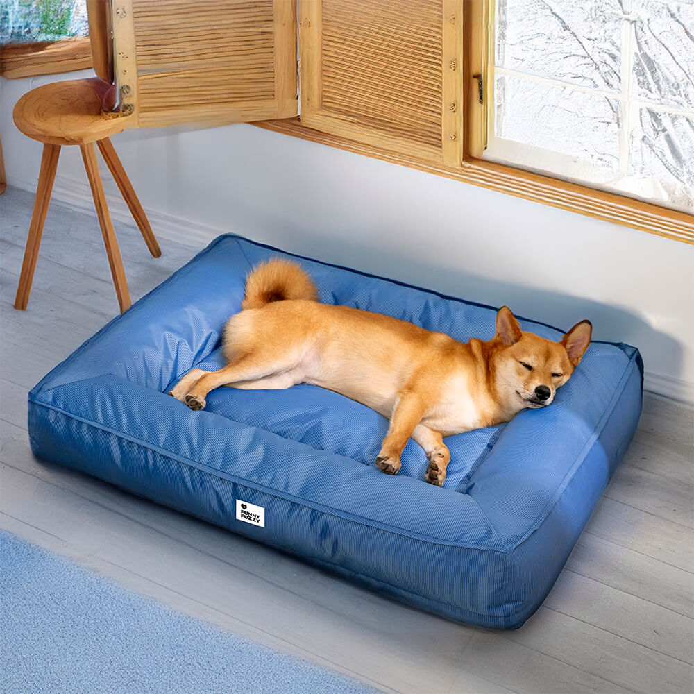 Raised-Edge Bolster Dog Bed with Joint-Relief Foam & Liquid-Proof Cover for Large Breeds | Thomler