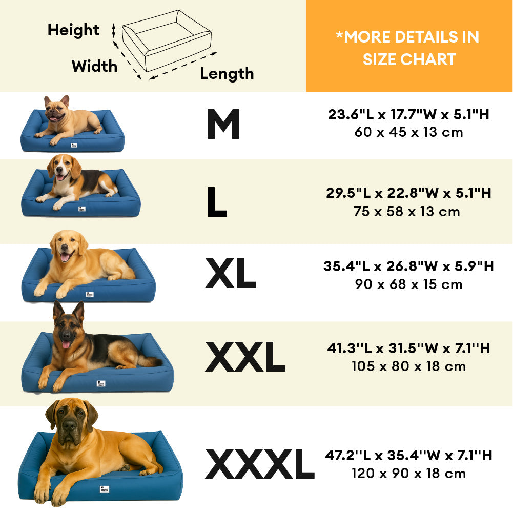 Raised-Edge Bolster Dog Bed with Joint-Relief Foam & Liquid-Proof Cover for Large Breeds | Thomler