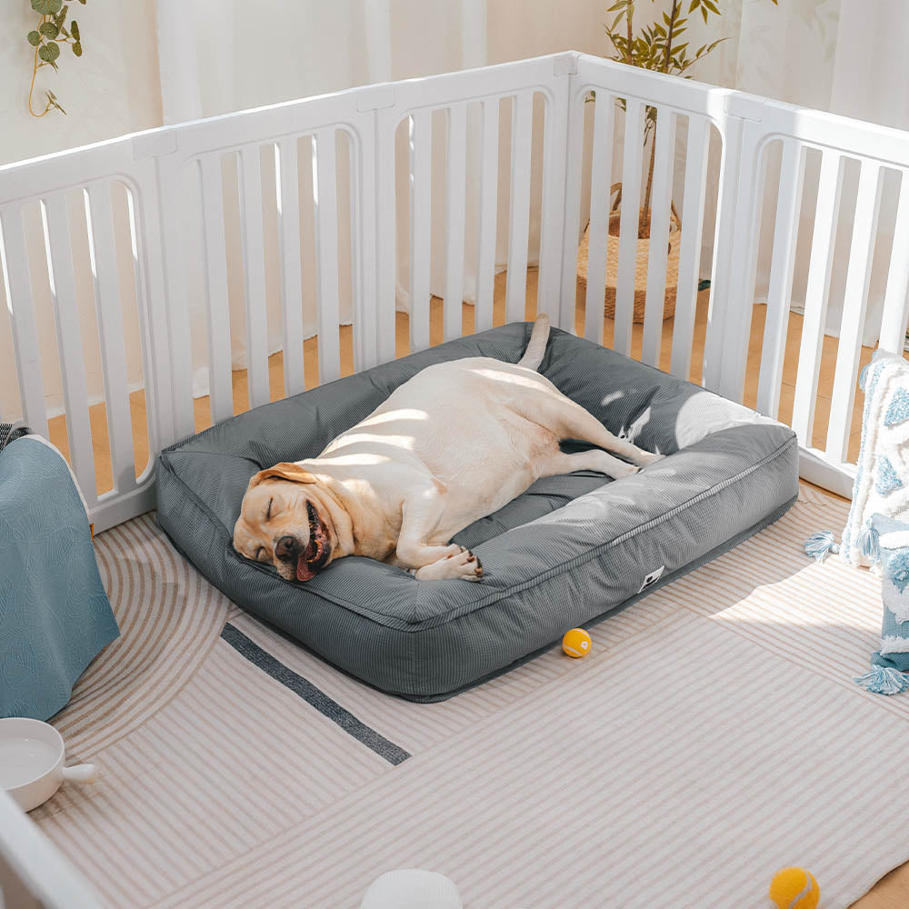 Raised-Edge Bolster Dog Bed with Joint-Relief Foam & Liquid-Proof Cover for Large Breeds | Thomler