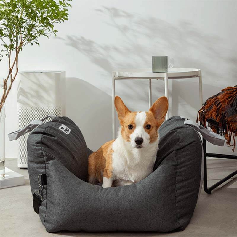 Portable Pet Carrier Booster Seat with Safety Harness and Washable Cover for Small Dogs | Thomler