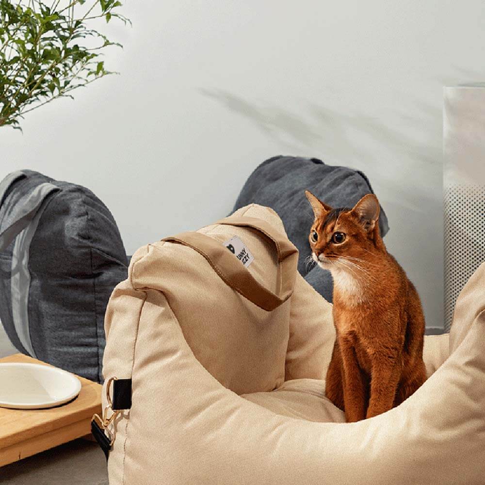 Portable Pet Carrier Booster Seat with Safety Harness and Washable Cover for Small Dogs | Thomler
