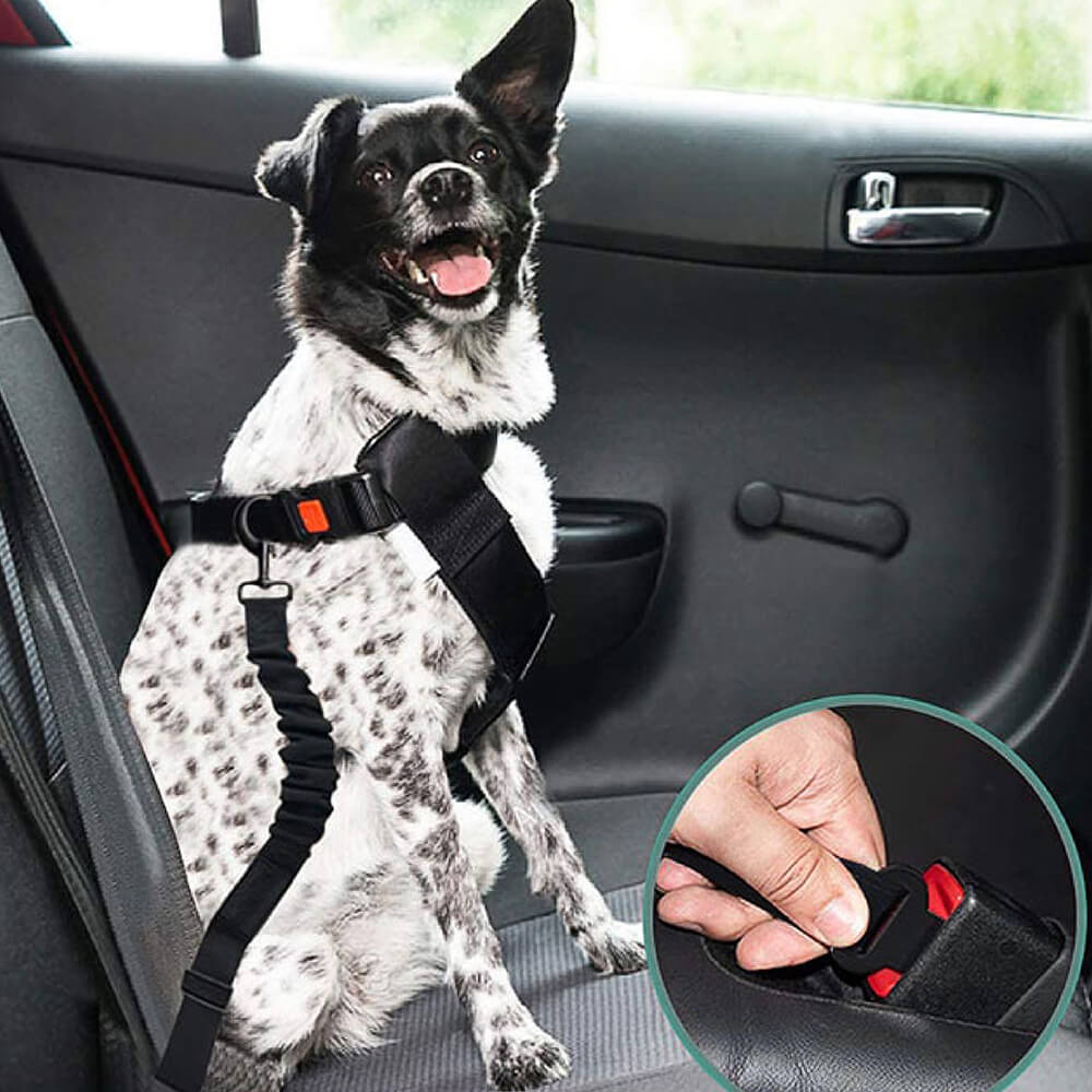 Adjustable Pet Safety Harness Tether for Car Travel with Reflective Strap & Elastic Shock Absorber for Dogs | Thomler