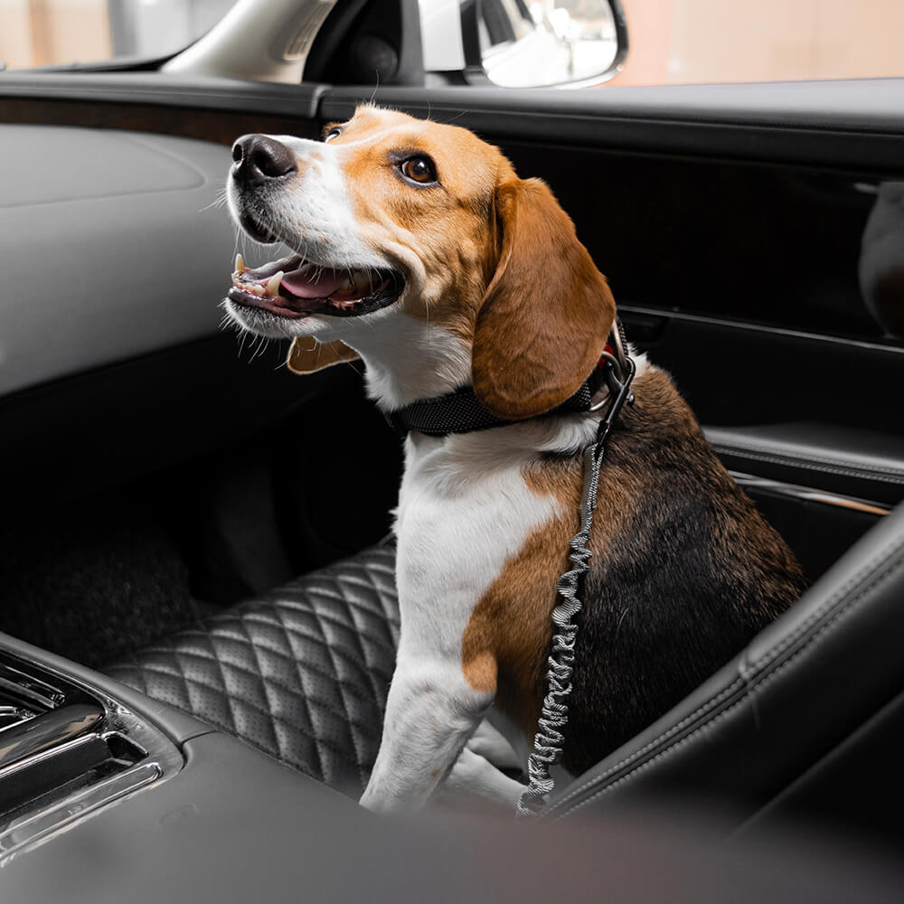 Adjustable Pet Safety Harness Tether for Car Travel with Reflective Strap & Elastic Shock Absorber for Dogs | Thomler