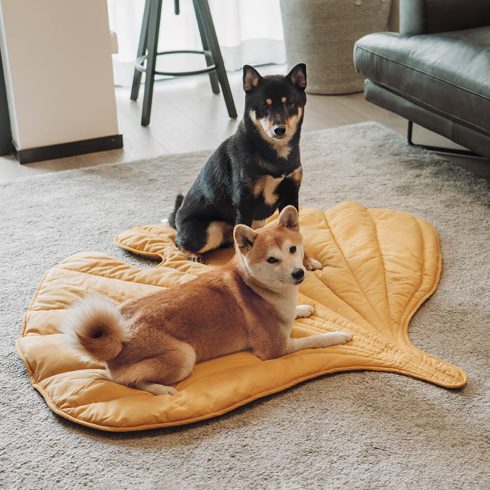 Botanical Leaf-Shaped Pet Throw Blanket - Soft Cotton-Polyester Cover for Dogs & Cats - Machine Washable Couch Protector & Floor Mat for | Thomler