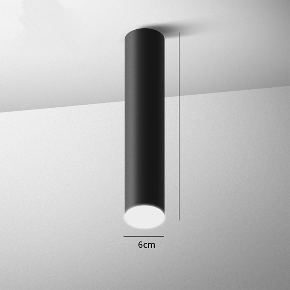 Cylinder Ceiling Spotlight – Aluminum Hardwired Downlight for Modern Homes, Offices & Galleries | Thomler