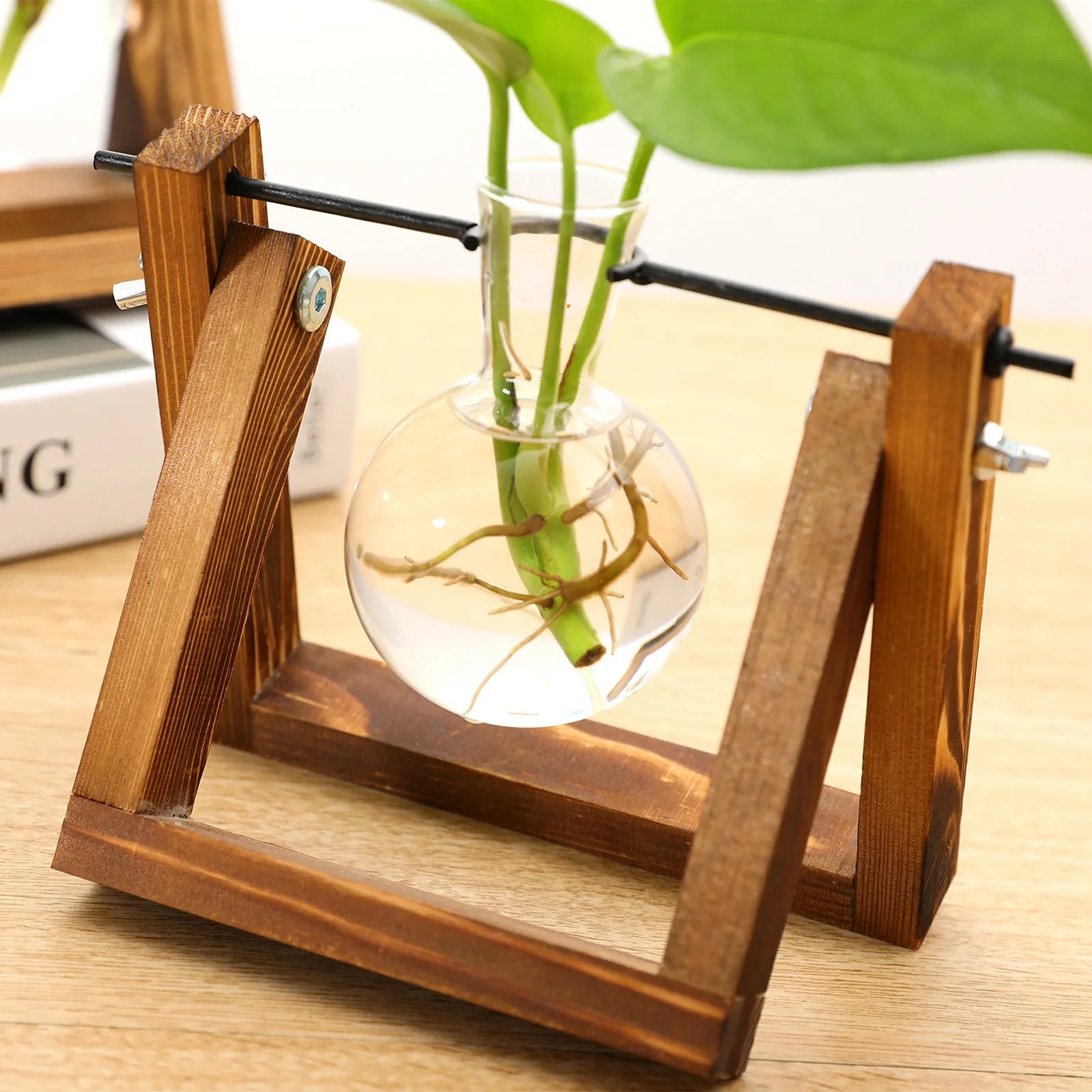 Plant Propagating Stand Natural Wood 11 in Indoor Gardening Glass Display Vintage Style | Thomler