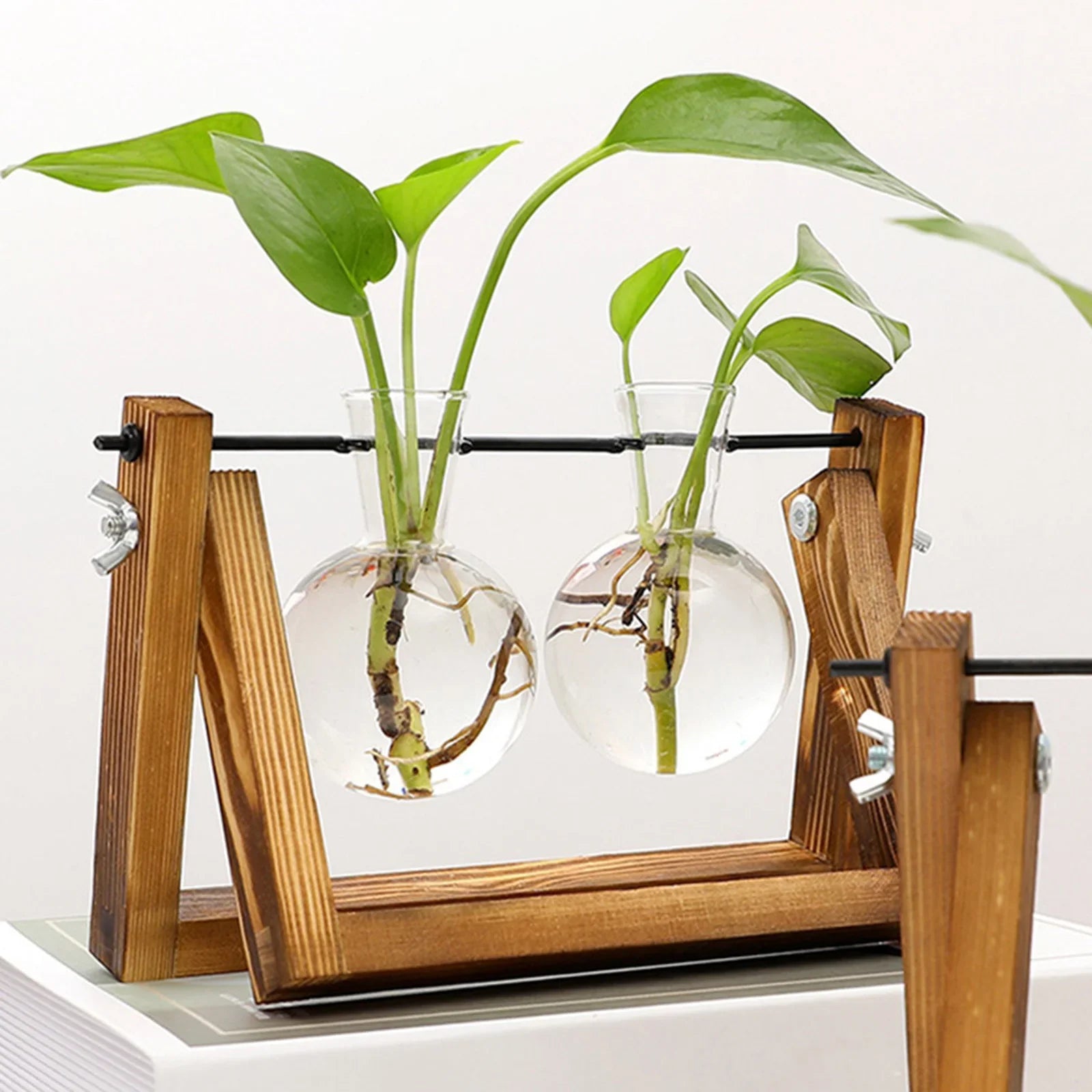 Plant Propagating Stand Natural Wood 11 in Indoor Gardening Glass Display Vintage Style | Thomler