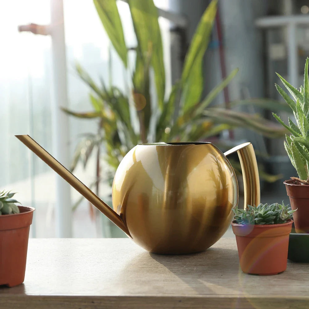 Watering Can Stainless Steel 11 in Indoor Plant Care Precise Pouring Home Garden Tool Durable Minimalist Design | Thomler
