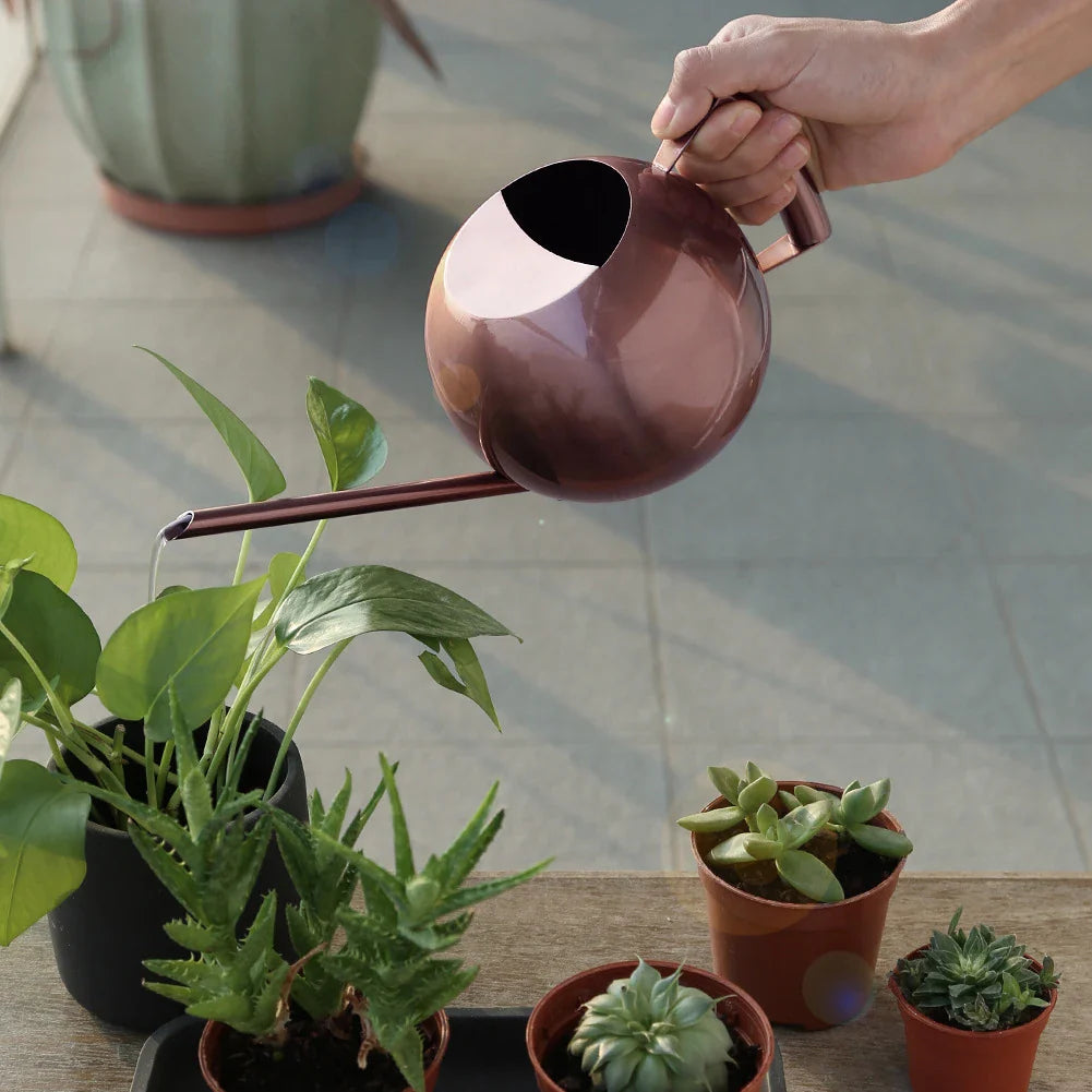 Watering Can Stainless Steel 11 in Indoor Plant Care Precise Pouring Home Garden Tool Durable Minimalist Design | Thomler